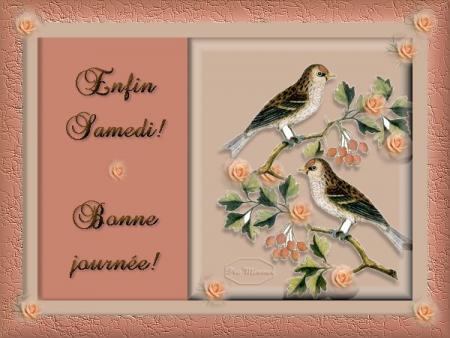 Bonjour tout le monde